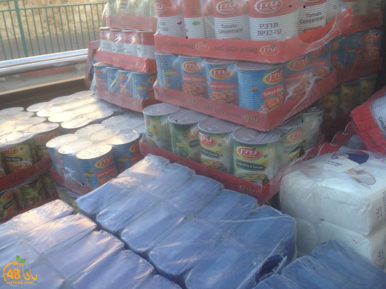 torid lud 3i984 (2).jpeg